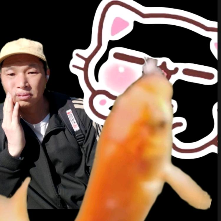 鱼财猫