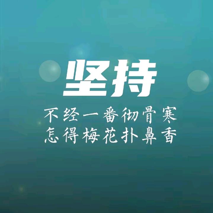随风