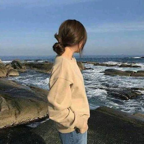 阳光玫瑰🌹