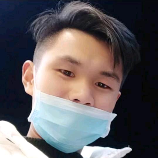 心向