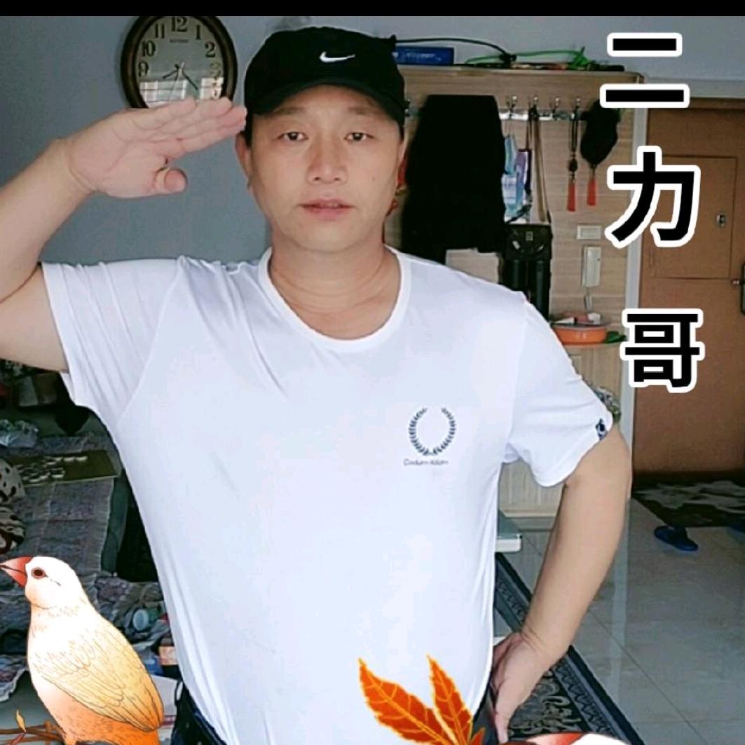 象棋二力哥