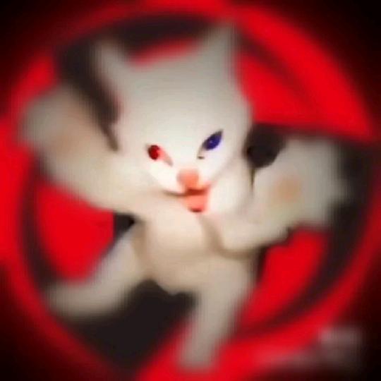 克克里斯