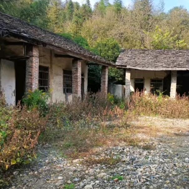 @桂花园.........☀️