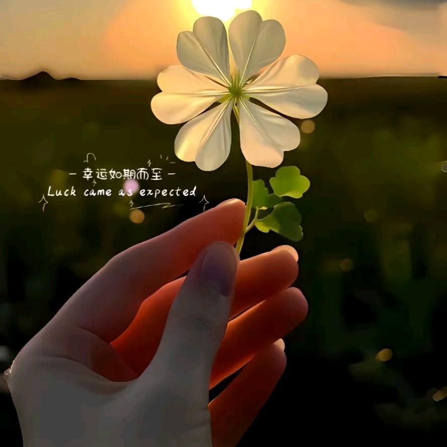 静心