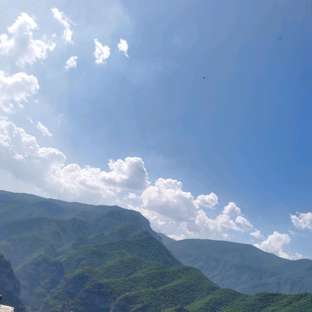 黑咖不加糖