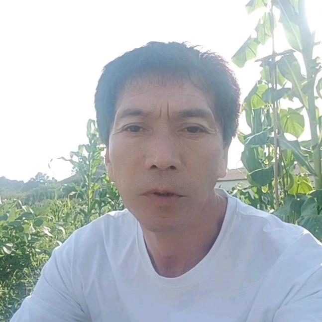贵州老陈
