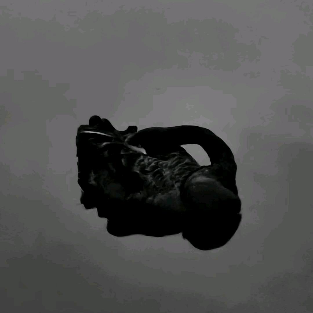 黑天鹅