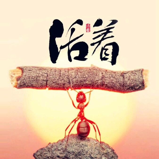 上辈子犯天条的我