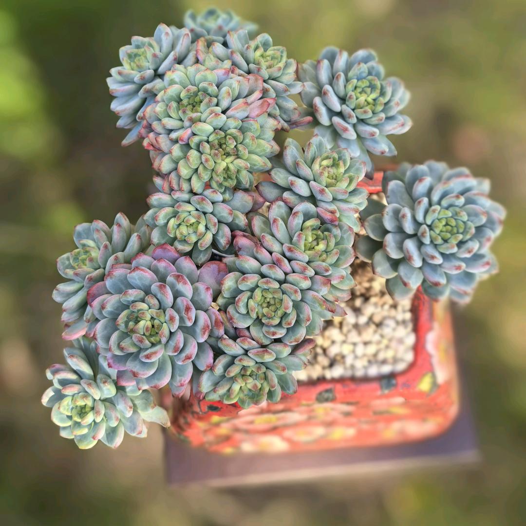 分分秒秒