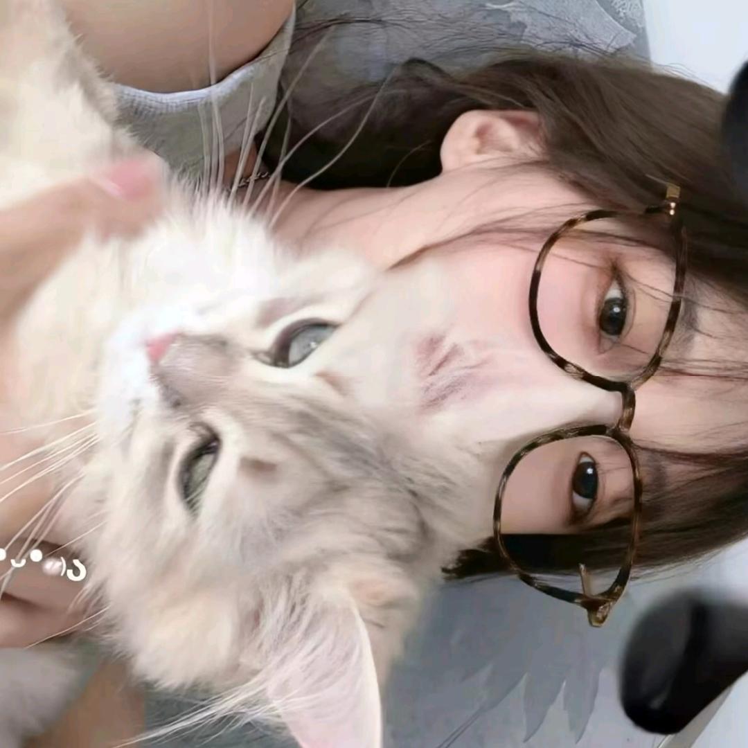 Ö椰.