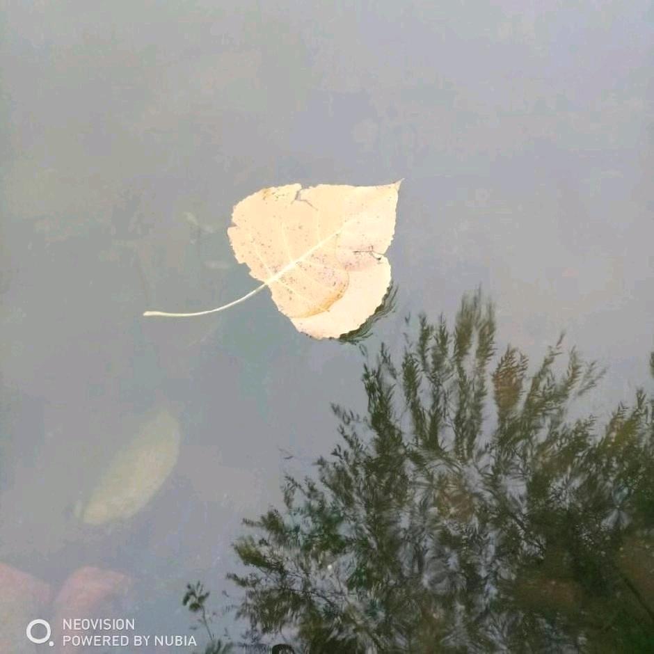 陈  一