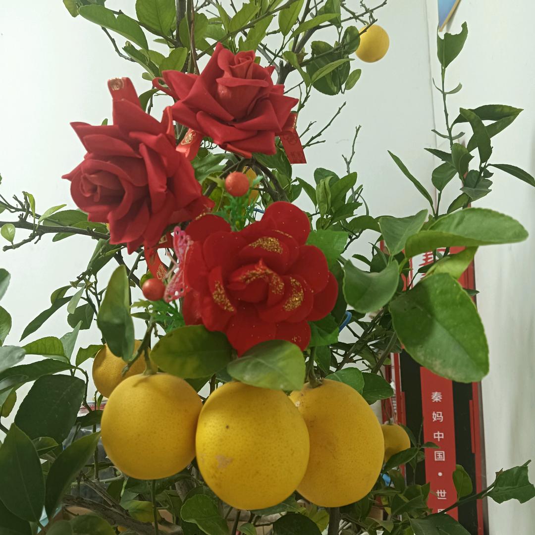 春雨洒落的思念