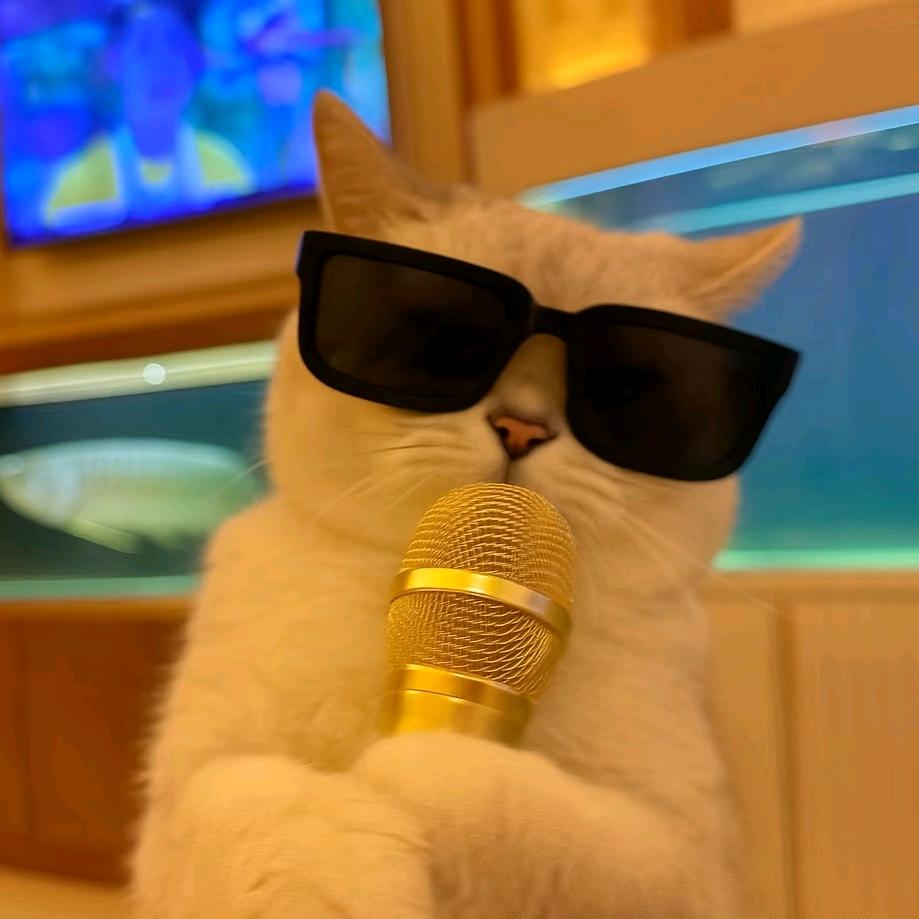 小王今天唱点啥