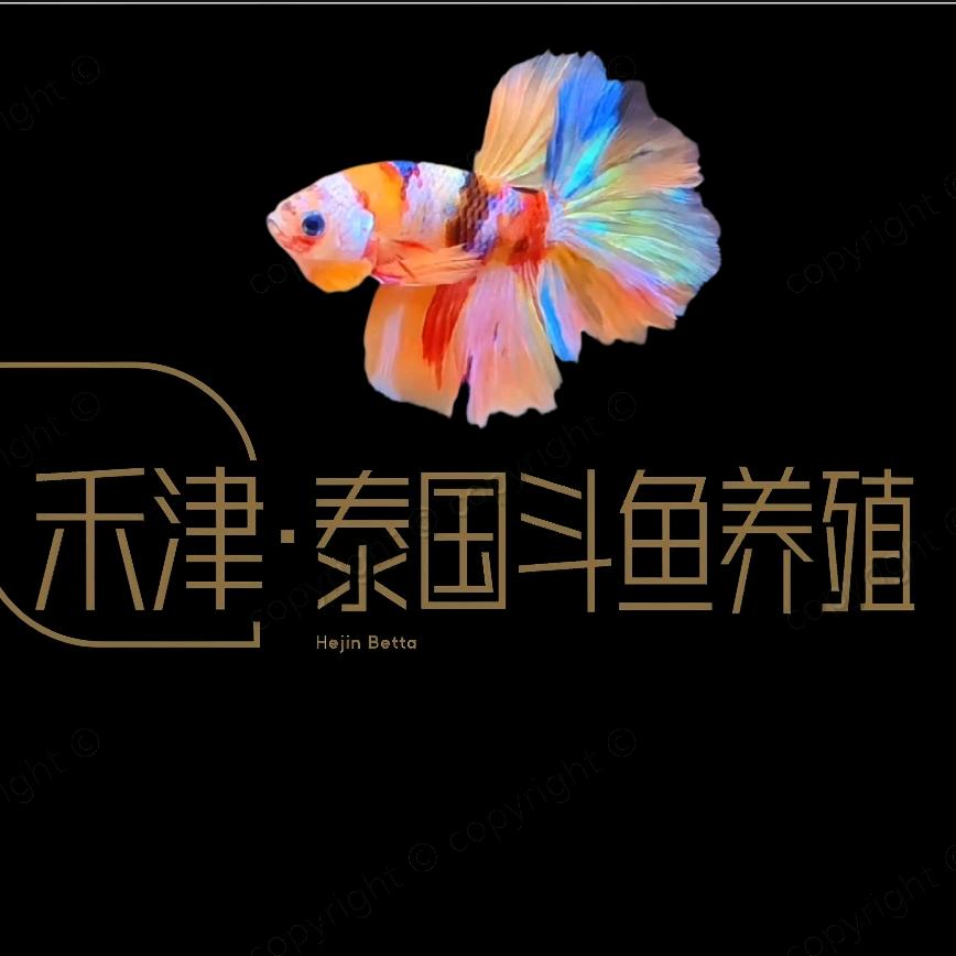禾津泰斗养殖