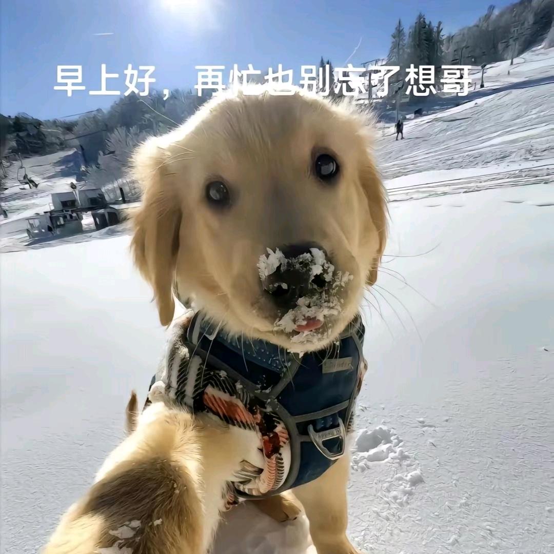 𝐑𝐨𝐦𝐚𝐧𝐜𝐞