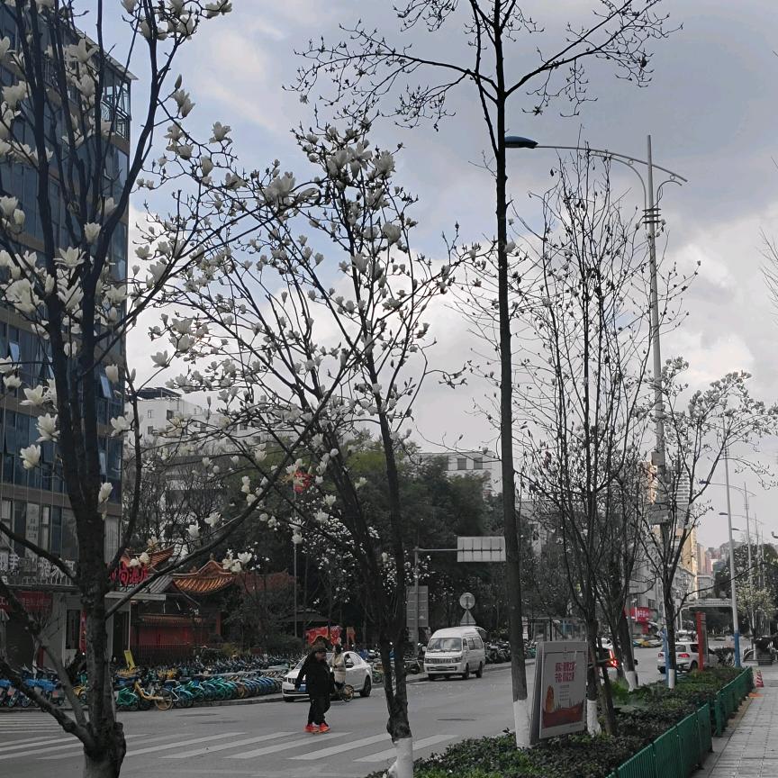 再睡九分钟☁️