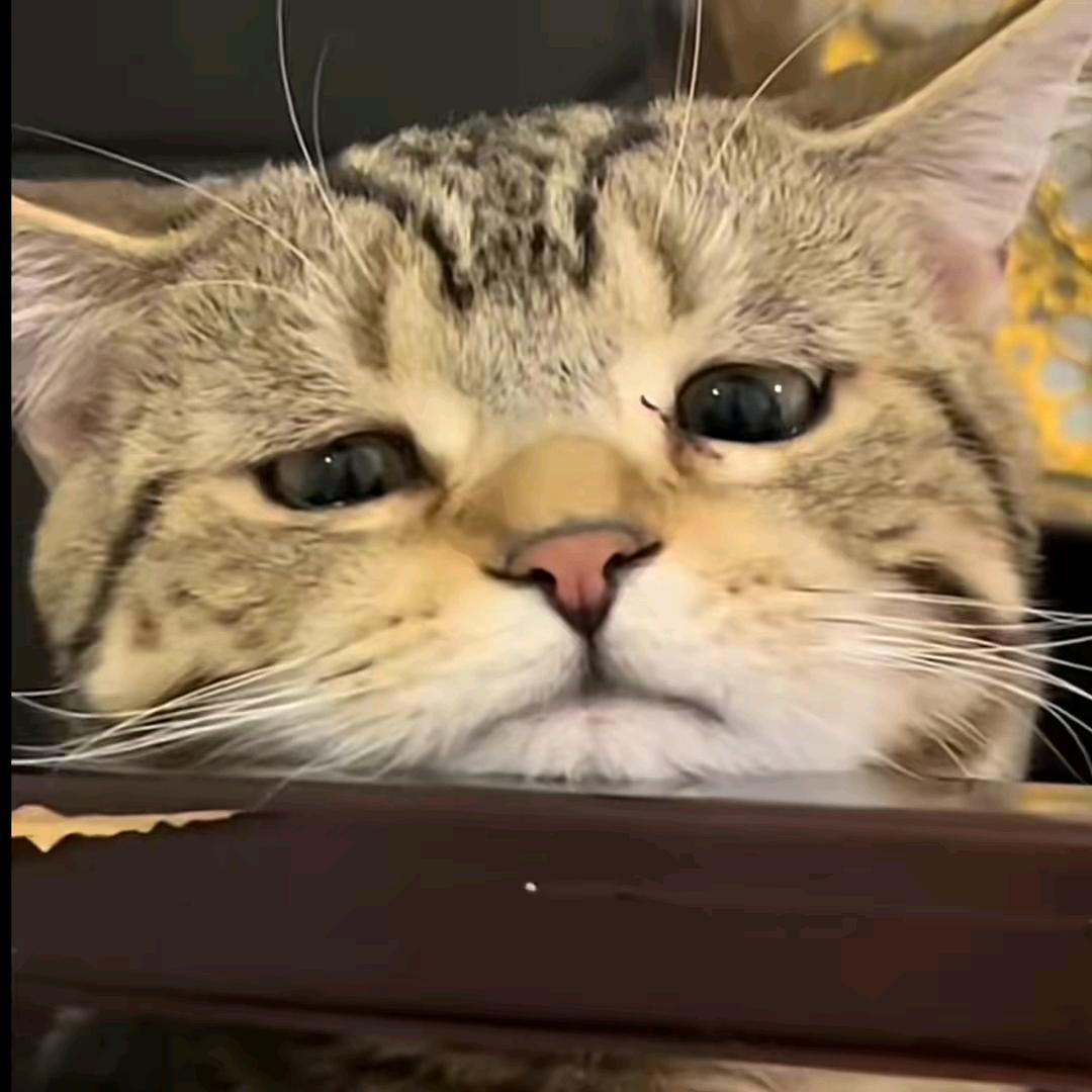 冬辞丷