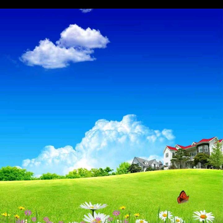 四叶草🍀