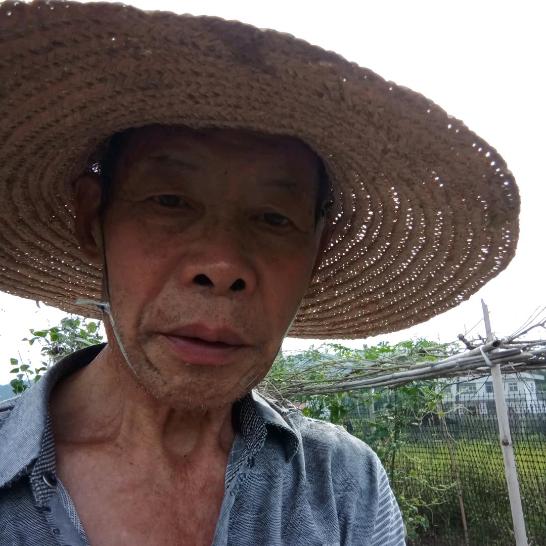 刘大伯
