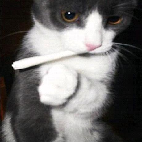 整点儿下午茶