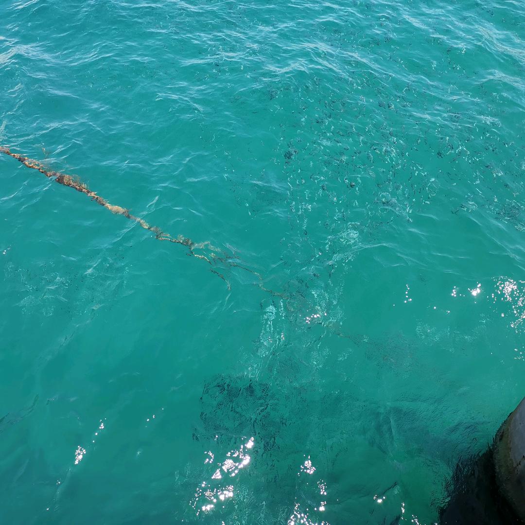 海岛