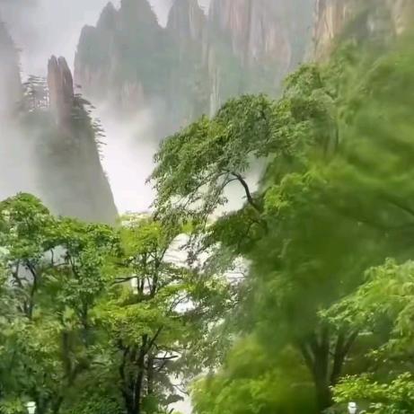 老王