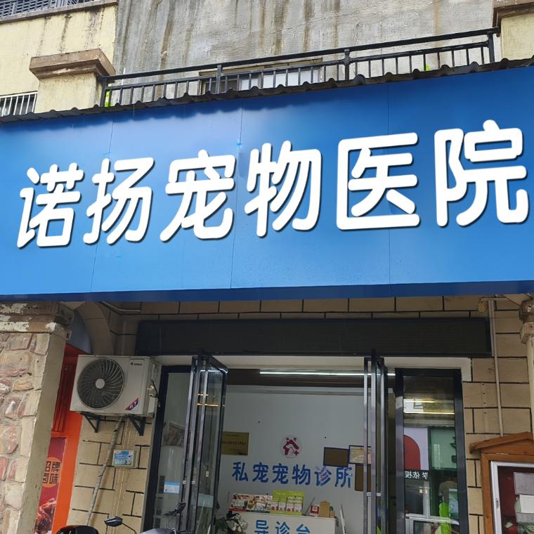 广信区诺扬宠物医院