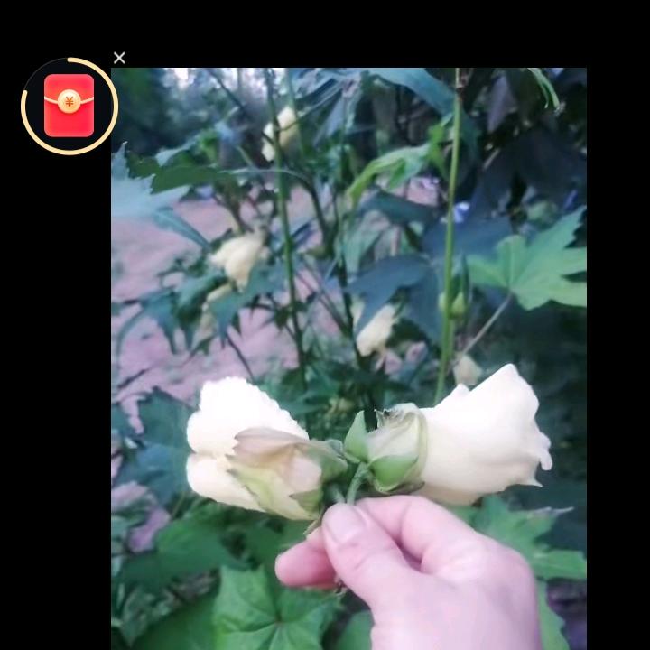 无聊