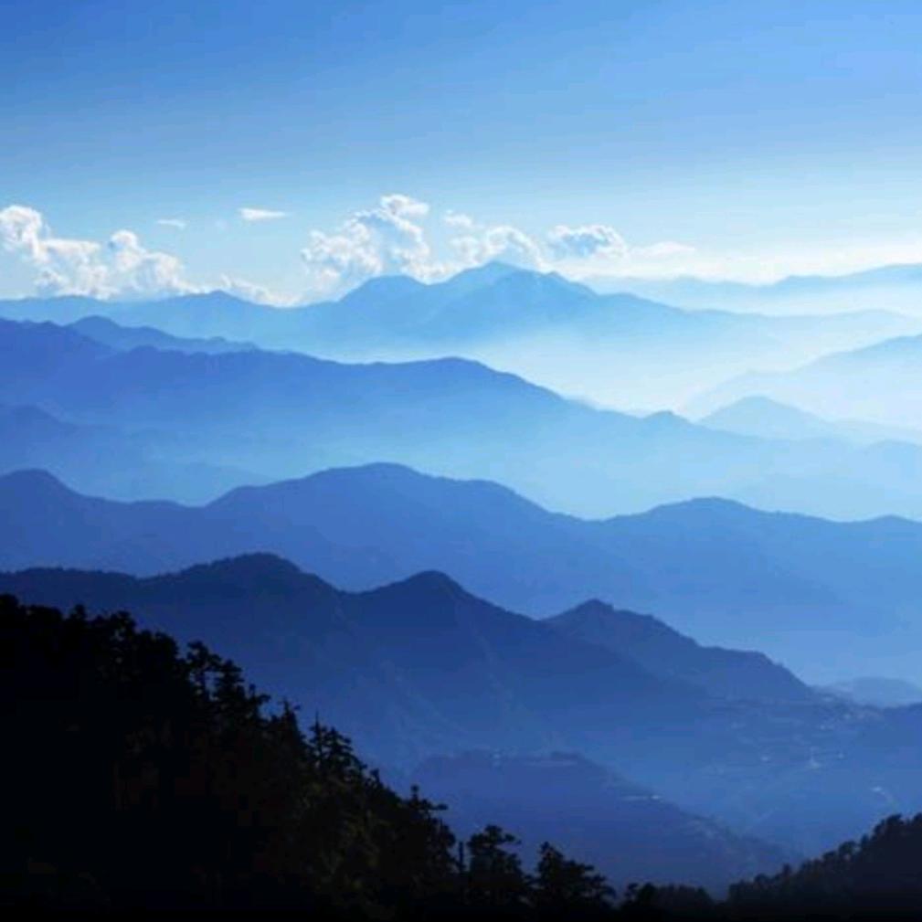 （翻斗车）55后