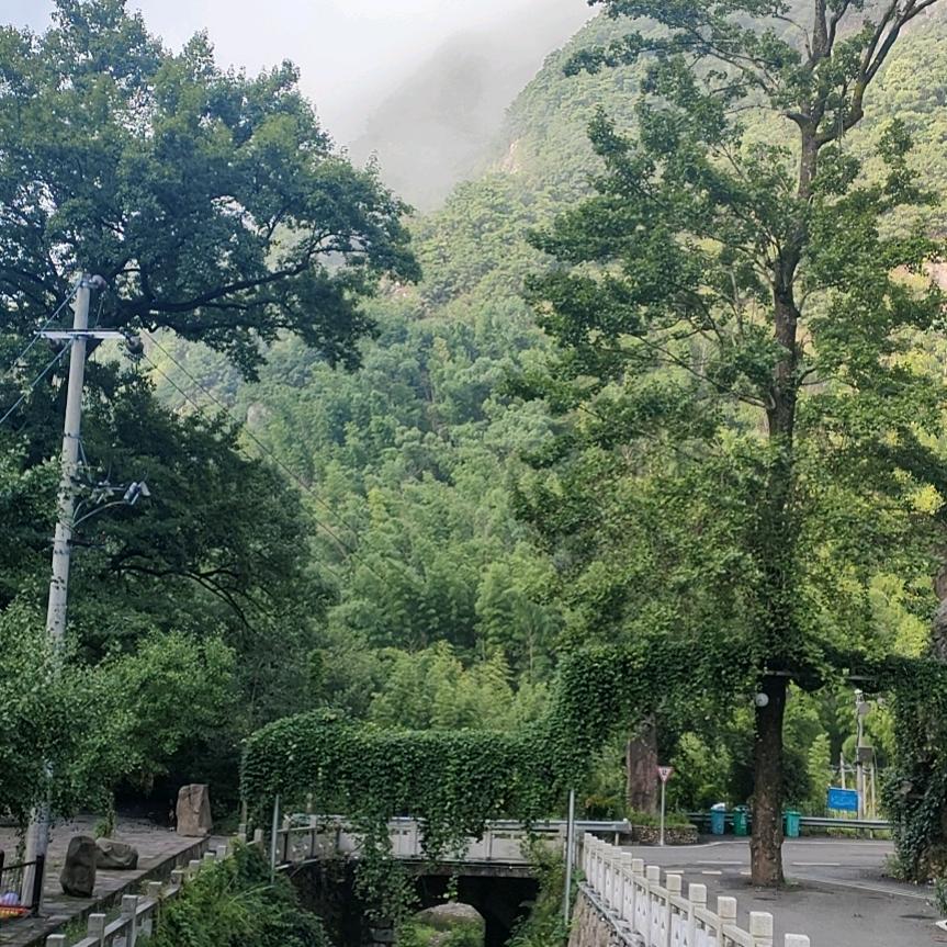 胡里胡涂