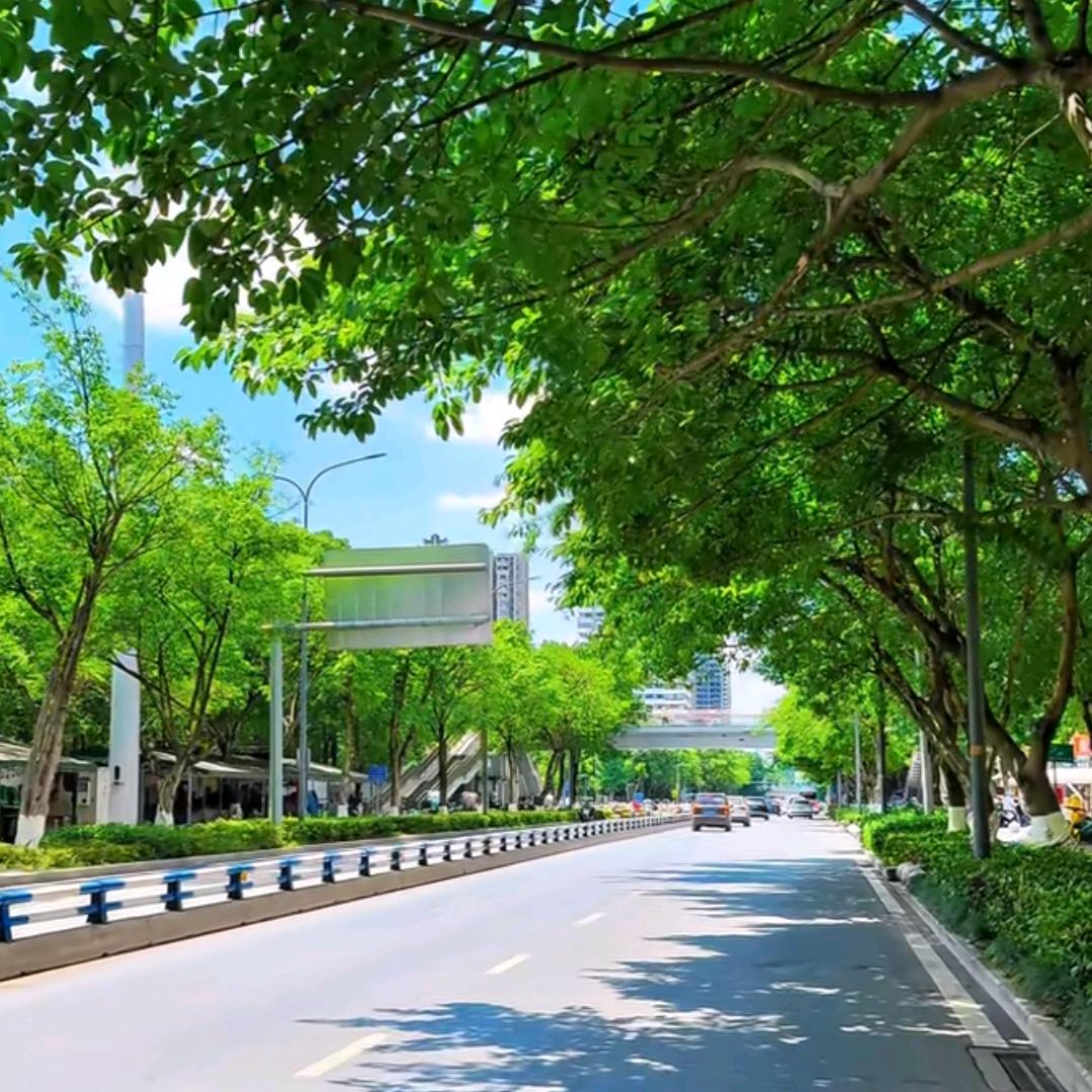 宇瑞宝旅游咨询