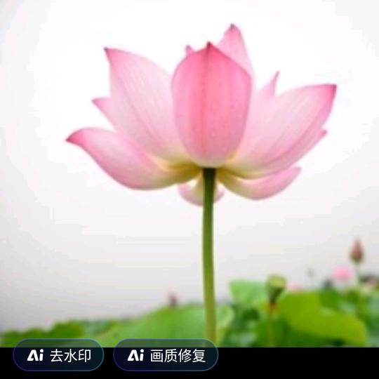 一切都好(￣▼￣)