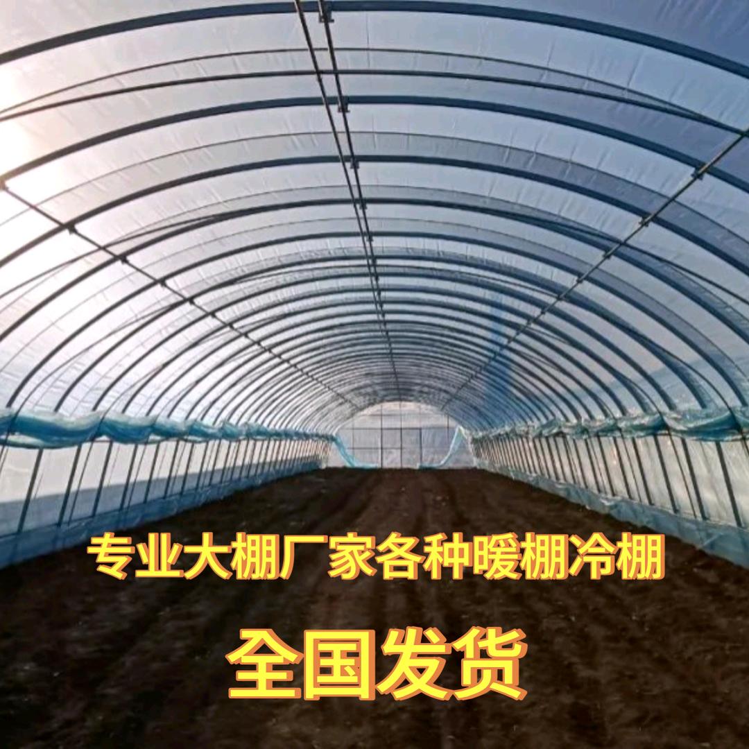 天津钢管大棚管厂家-王