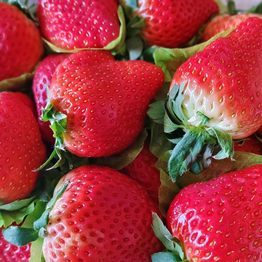 🌈我爱我家家富贵竹