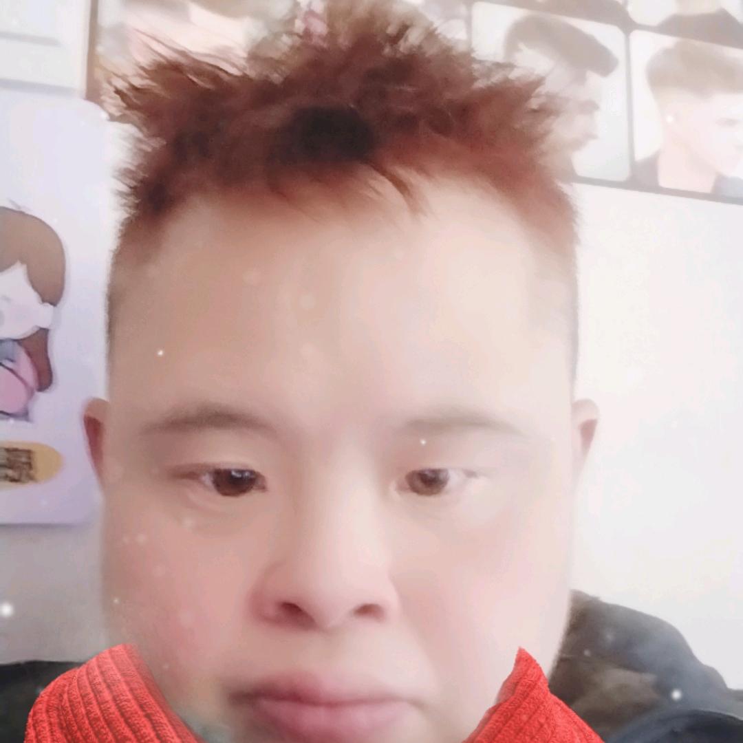 錢信蠢猪要求吗