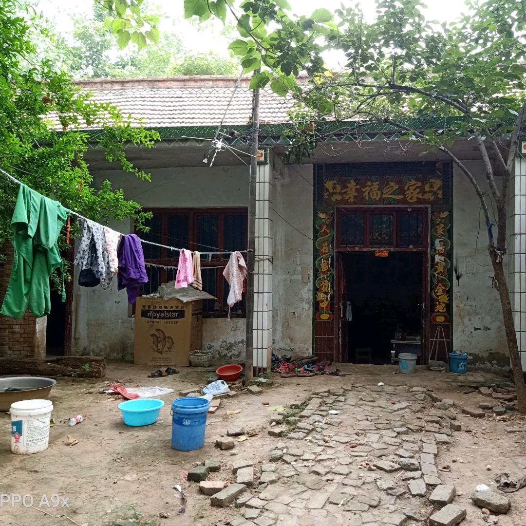 朱振兰