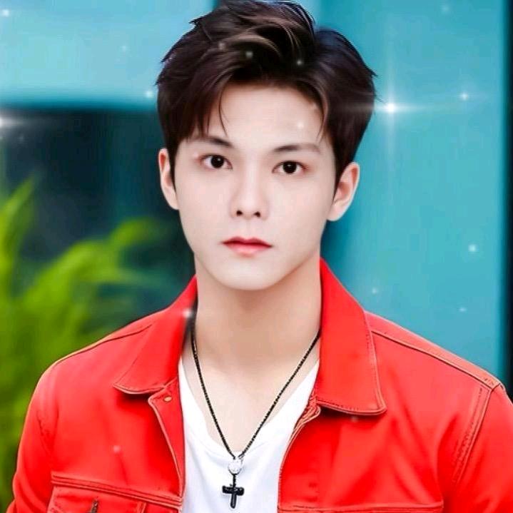王维四明星网红达人