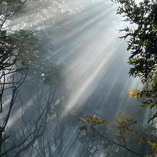 小小道童