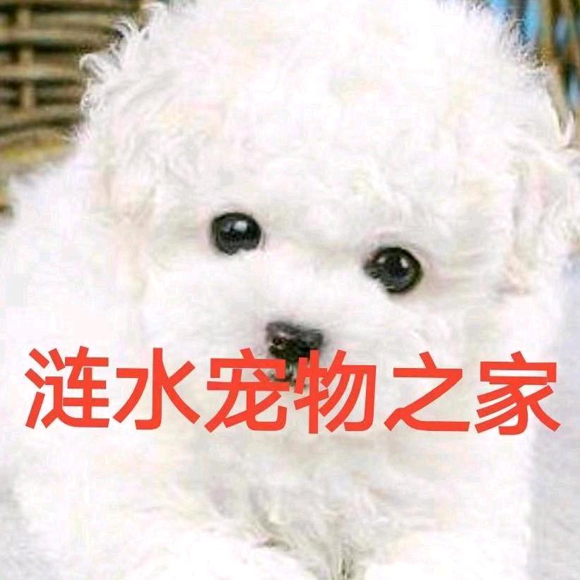 涟水左氏宠物经营部（2）