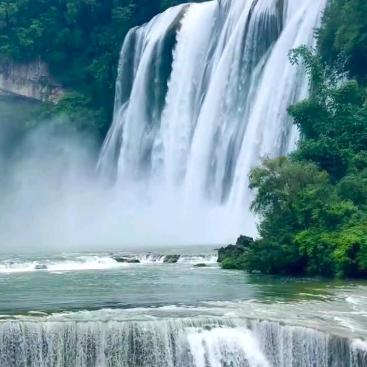 驴大宝吖