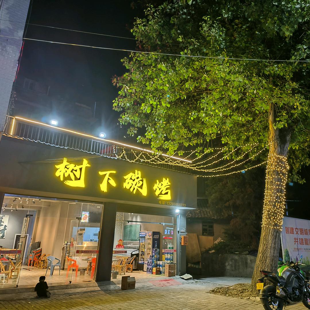 树下碳烤官方号