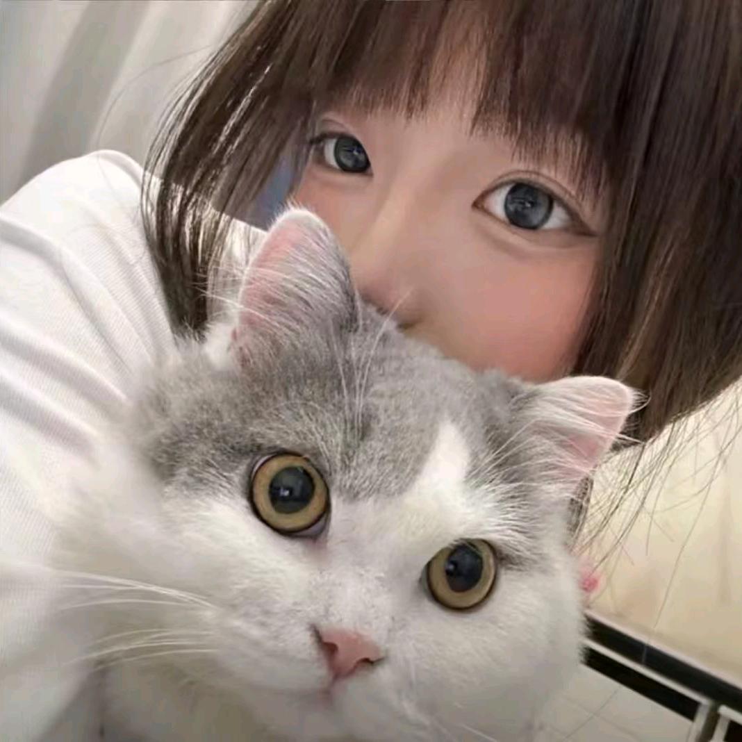 小娇妻