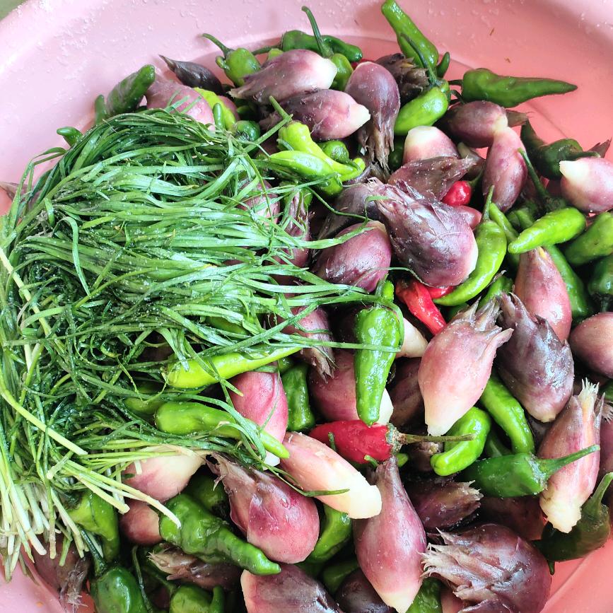 心语❤️❤️心愿