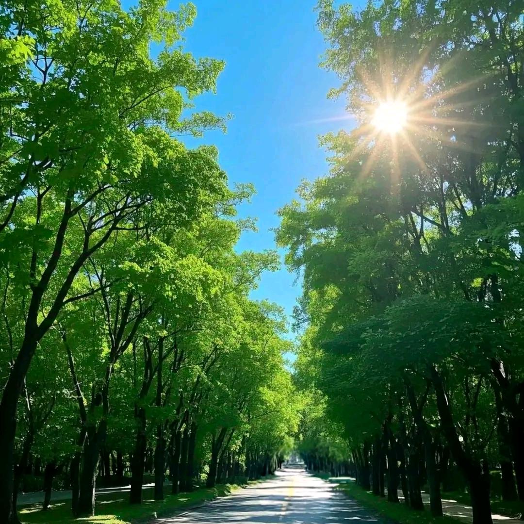 平凡普通