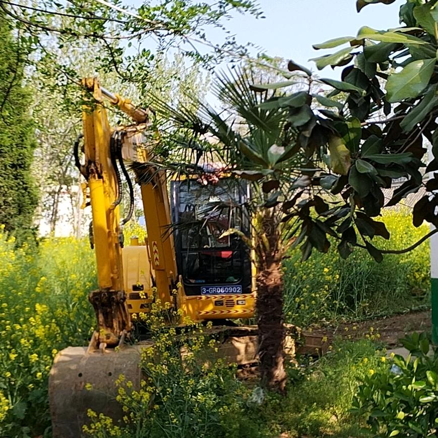 挖机.破碎锤.出租