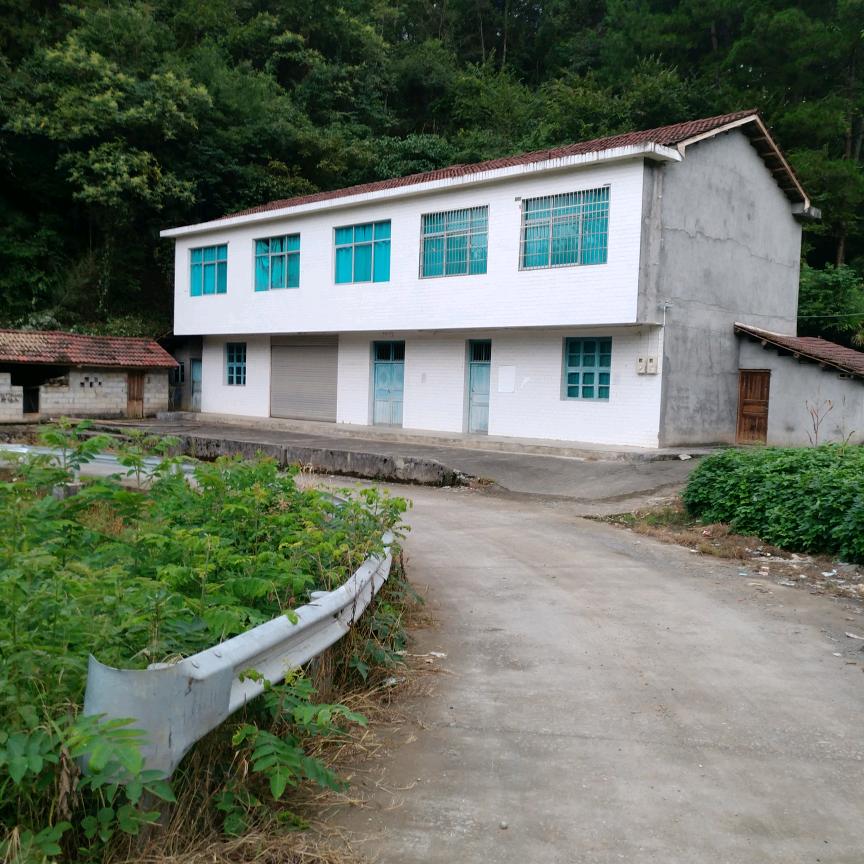 等待雄鹰归来