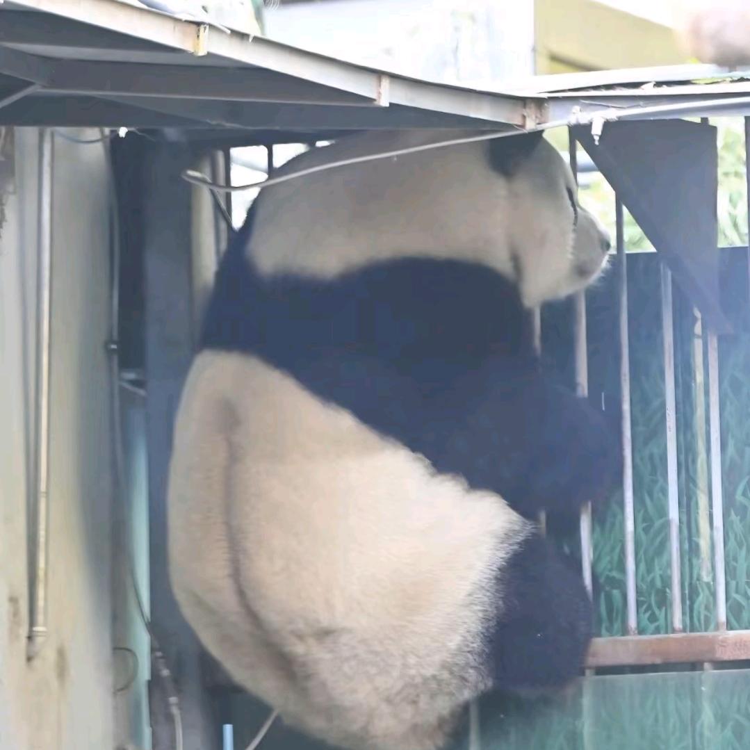 月饼不圆我不吃