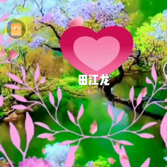 田江龙