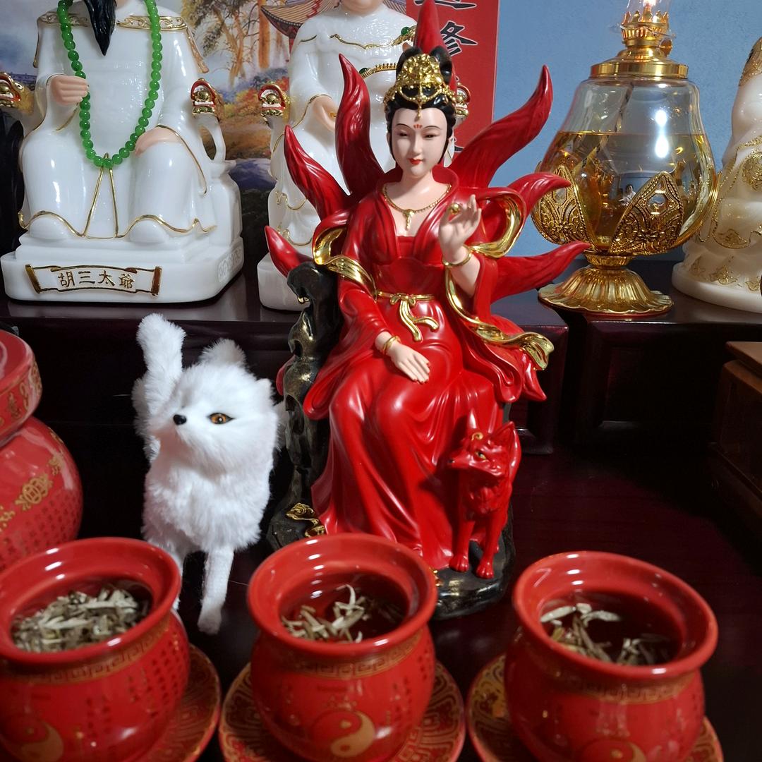 🦊玄凤堂🐉