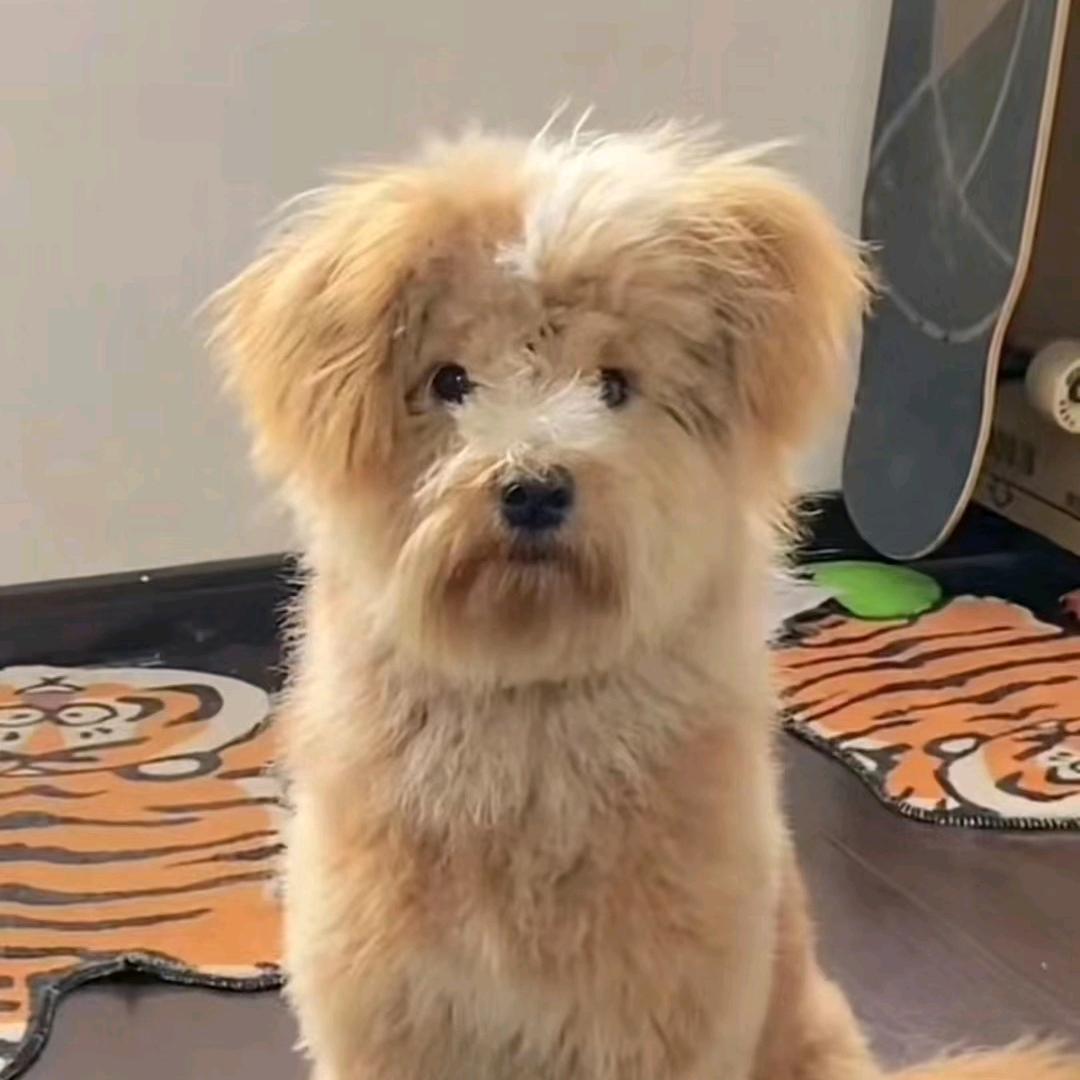 王不溜